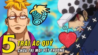 5 trái ác quỷ hiếm có năng lực chữa trị phục hồi đắt giá nhất trong One Piece