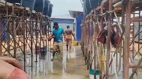#funny# video#
