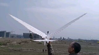 Bionic Egret Wingspan orptopter 1,9 meter