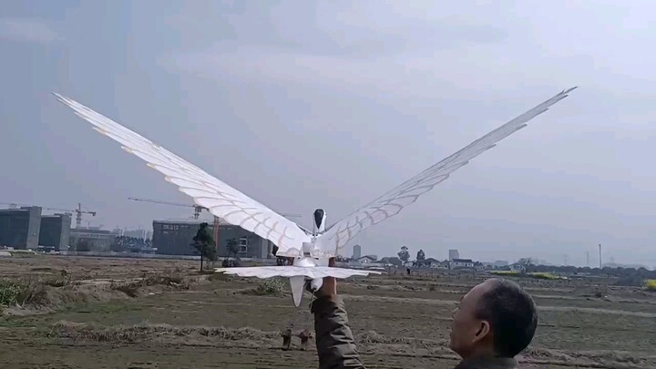 Bionic Egret Wingspan orptopter 1.9 เมตร