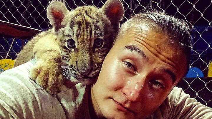 The tiger “Rolls-Royce” who’s been cuddling with me since childhood