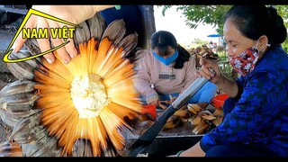 Ghẹo cô bán Dừa nước - ai ngờ lại là… [Nam Việt 1772]