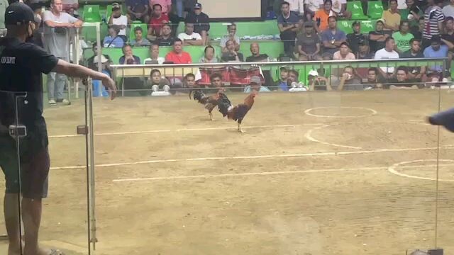 win nanamn si bulik nag babalik