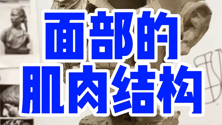 ดูกล้ามเนื้อบนใบหน้า #โครงสร้างศีรษะ #นักเรียนศิลปะ #การปั้นด้วย Zbrush #การปั้นดินเหนียว #การปั้นศี