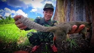 Hành trình trở lại rừng | Khu rừng biên giới Việt Nam Cam Pu Chia thịt rừng nướng