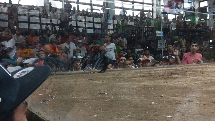 Zapote Cockpit Arena 2 hits ulutan 2nd fight champion Crispin handler March 7,2026