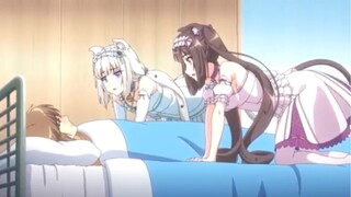 Nekopara | Neko Girls!!? (Battle Scars) #videohaynhat