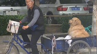 Dunia tidak bisa hidup tanpa anak anjing