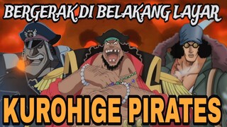 11 RANKING BUAH IBLIS BAJAK LAUT KUROHIGE - ANIME REVIEW (ONE PIECE)