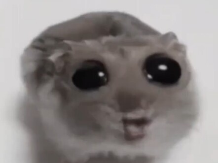 Turtle: Who gets it?! I almost met Great-Grandma!