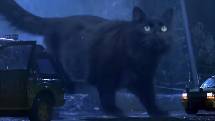 Jaman Jurassic, tapi kucing (kumpulan tiga bagian)