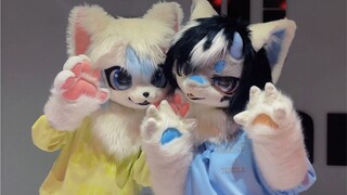 【御猫×1to】我爱你-上海蟹✧你一定没有发现我超级喜欢你！