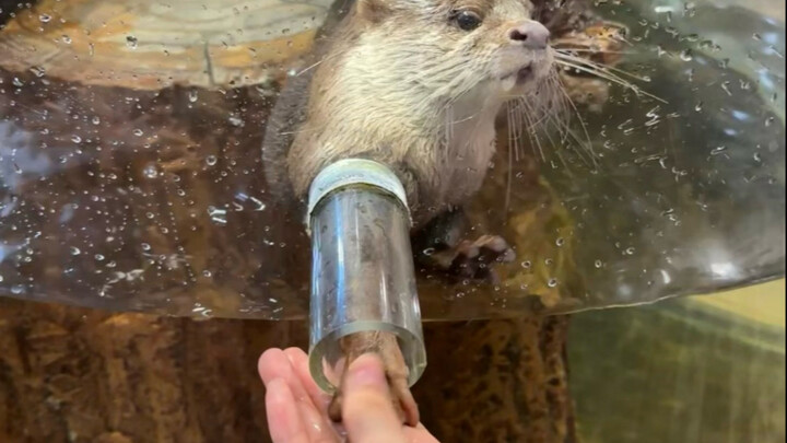 زرنا حديقة الحيوان مع الأصدقاء 5 مرات، المكان ممتع جدًا…