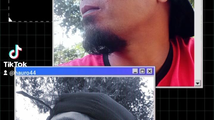 belajar PD