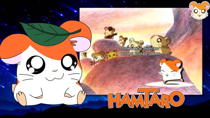 Hamtaro Ending Latino HD