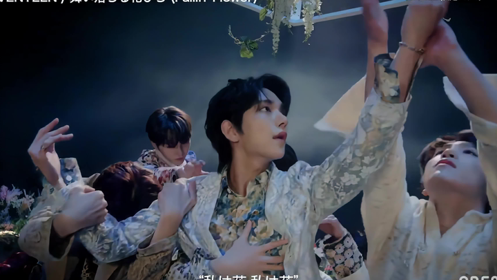 【Dove 4k】SEVENTEEN - Những cánh hoa rơi (Fallin' Flower) Sân khấu Nhật Bản phục chế 4k 200530