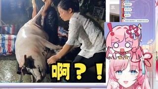 【泽音】粉皮猪看喂猪食 看代入了🤭结果猪猪一转即逝 直接破防了🤣