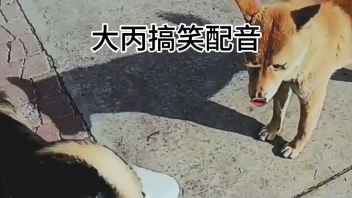 โกวซี่ : รักอิสระยังไม่ได้รับอีกเหรอ?