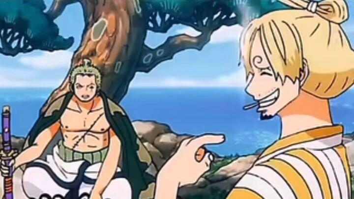 zoro x sanji