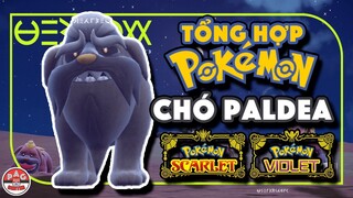 Năm con Mèo nhưng Pokemon Chó vùng Paldea có gì hay ?!? | Pokemon Scarlet & Violet | PAG Center