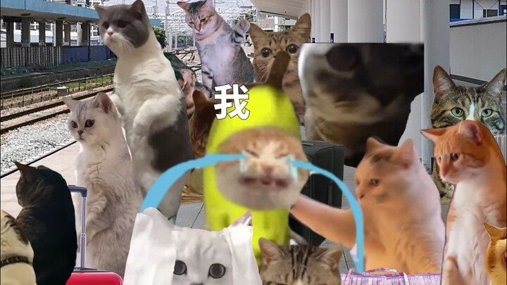 Me on vacation road trip, belike!