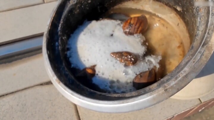 Corpse powder and African snails, made into handicrafts? Achieving profit from merit!