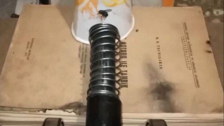 【Giant】Satisfying TV 😋😋😋