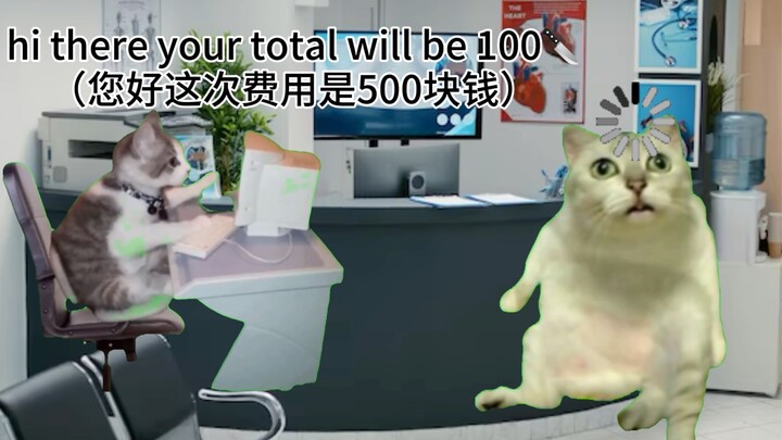 【Cat meme】About the time I spent 500 yuan to have a doctor clean my earwax