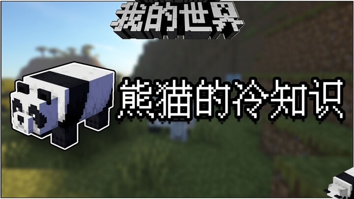 Minecraft Trivia: Have You Ever Seen a Panda Eating Bedrock?