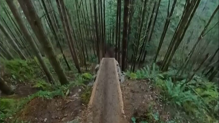 Menemukan jalan pintas pulang sekolah