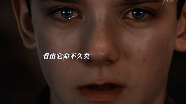 ฉันดันไปฟินกับพระเอกกับแมลงตัวหนึ่งซะได้!