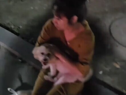 This is the level of dog lovers...