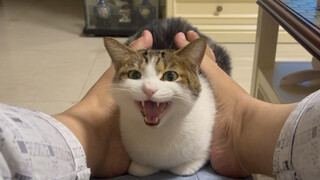Foot-warming bread