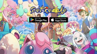 Pokemon: Pet Remake - Gameplay