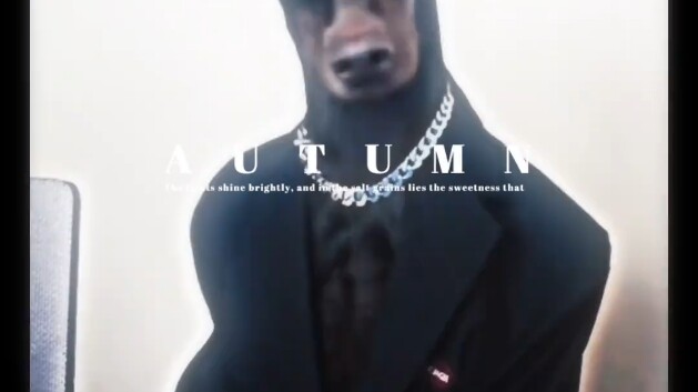 Dog: Who doesn’t have their own little quirks...?