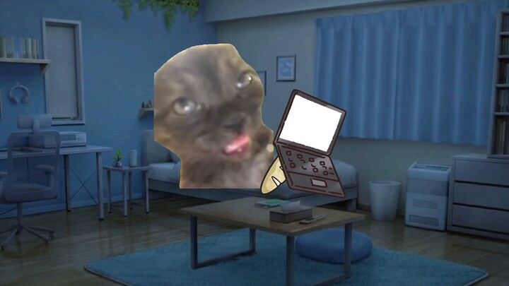 [Meme kucing] Ayahku memergokiku diam-diam membaca satu bab di malam hari...