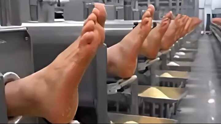 Hikarumi and Perfect Cheese #funny #viralvideo #fyp #funnyvideo #laugh