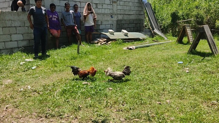 STREET FIGHT SERYE SABADO DE GLORIA LOSS ANG Q-BROTHERS.