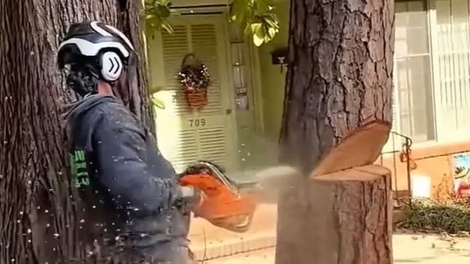 Kumpulan penebangan hutan berkualitas rendah oleh manusia