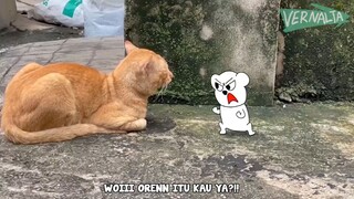 TUTU VS KOCHENG OREN😹😾