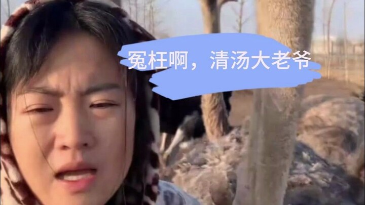 Who's abusing whom, Master Qingtang!