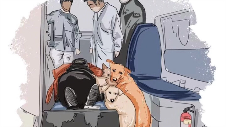Tuan rumah melahirkan, empat ekor anjing sangat khawatir dan ikut naik ke dalam ambulans—ketika itu,