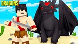 Who has the STRONGER NIGHT FURY!? - Minecraft Dragons