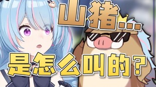 【星汐Seki】山猪是怎么叫的？