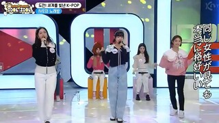 【安宥真 张元英】IZONE+IVE时期《Catallena》