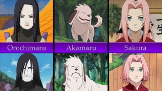 How Naruto Characters Changed in Shippuden