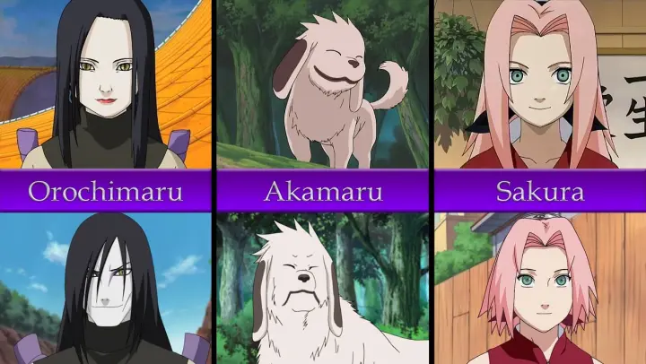 Unsolved Legendary Shinobi In Naruto Bilibili
