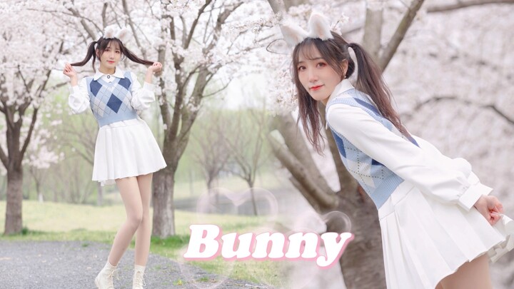 ✿A super cute bunny under the cherry blossom tree ~ its tail is shaking｜Bunny【Birthday Exclusive】