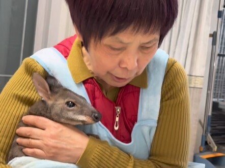 Mom, please don't do this.