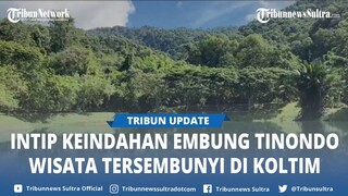 Menjelajahi Keindahan Embung Tinondo, Destinasi Wisata Tersembunyi di Kolaka Timur Sultra